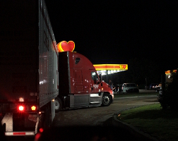 behind a big rig at the Palestine Love's rest stop