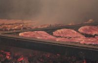 Making Kentucky barbecue: Slices of pork shoulder cook over a bed of coals.
