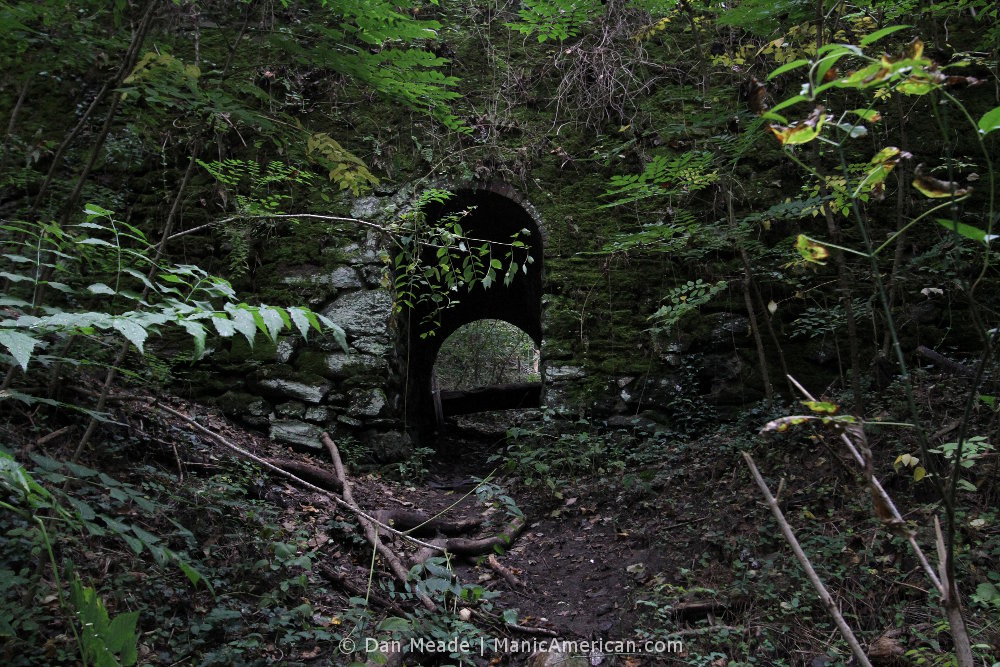 a dam sluice enveloped by growth