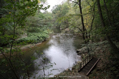 The Wissahickon Creek surrounded by trees