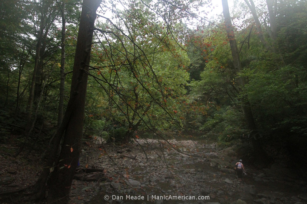 A woman walks from the pool to the creek