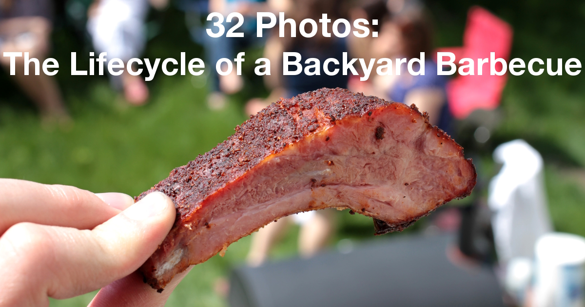Summary graphic: A rib held aloft before a circle of guests and a smoker in a backyard. The focus is solely on the rib, leaving the partygoers and the scenery fuzzed into the background.