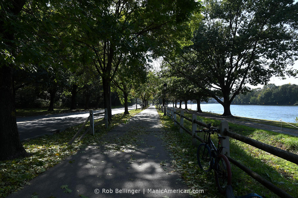 A paved trail between trees along a river